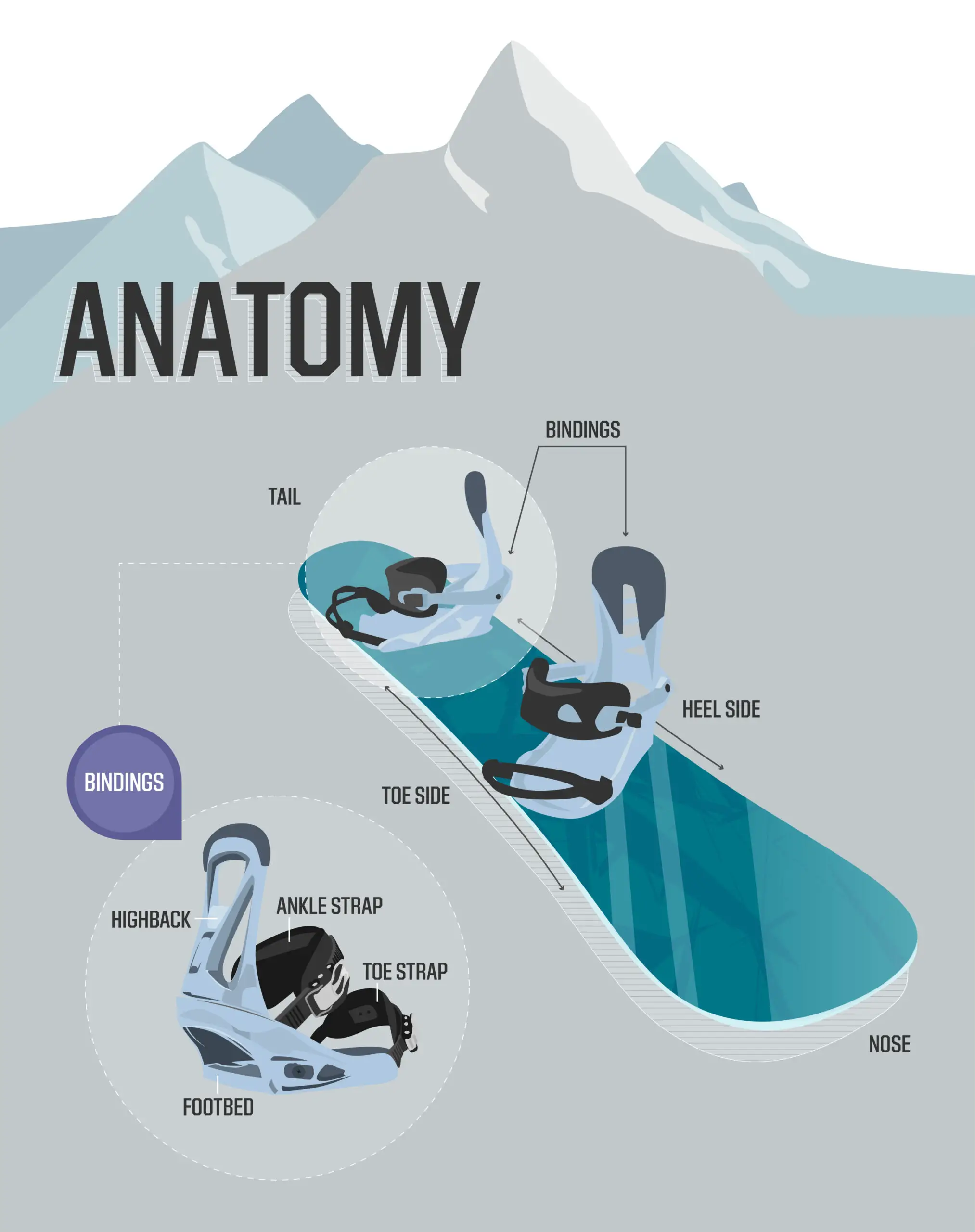 Tavola Snowboard-legame Toe-Ratchet Tooth-Strap Cinghia a1 a2 Gocce Forma ELLISSE 