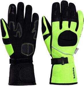 Balanna Multi-Functional Waterproof Gloves