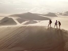 Sandboarding